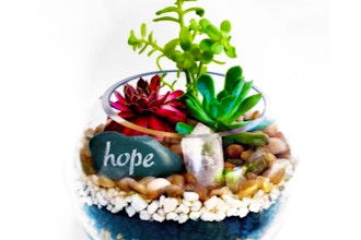 Plant Nite: Glass Rose Bowl Succulent Terrarium